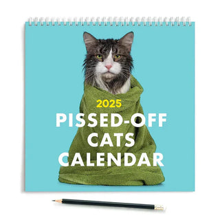 Kalender met boze katten 2025