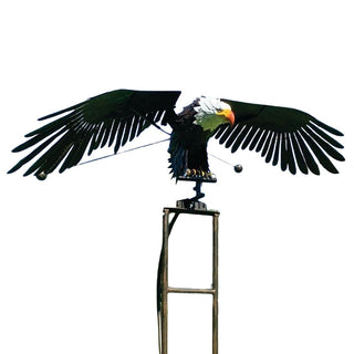 Tuindecoratie vogelbadje - Svinebar