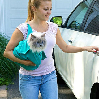 Reistas voor katten