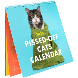 Kalender met boze katten 2025