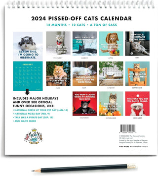 Kalender met boze katten 2025