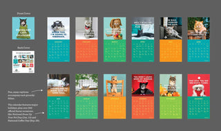 Kalender met boze katten 2025