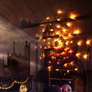 Halloween decoratieve LED-verlichting met spinnenweb