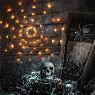 Halloween decoratieve LED-verlichting met spinnenweb