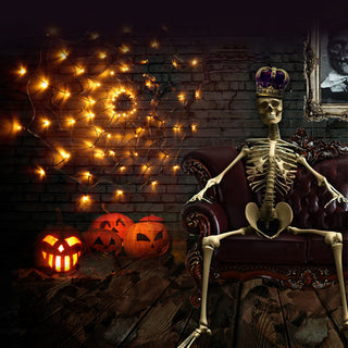 Halloween decoratieve LED-verlichting met spinnenweb