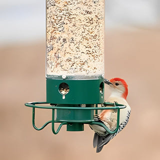 Eekhoornbestendige vogelvoeder voor in de tuin met bescherming tegen eekhoorns en aantrekkingskracht voor kleine vogels. Default
