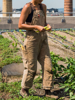 Eend Bib Overalls Canvas Werkoutfit Dungarees