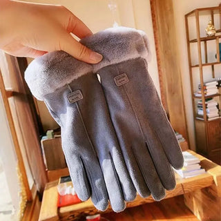 Harrie | Suède handschoenen, warm en modieus