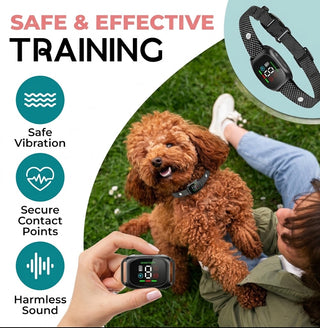 BarkEase Anti-Blaf Halsband voor Kleine Honden