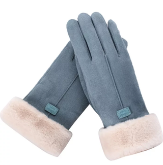Harrie | Suède handschoenen, warm en modieus Blauw