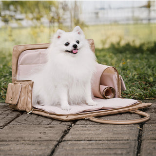 Grote Stijlvolle Multifunctionele Reistas voor Mens en Hond