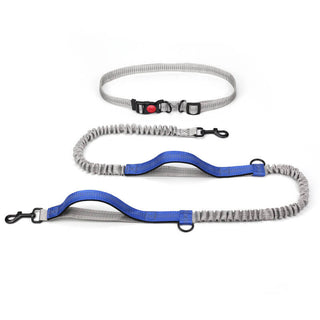 Uitschuifbare Multifunctionele Hondenriem met Dubbele Handgreep Blauw